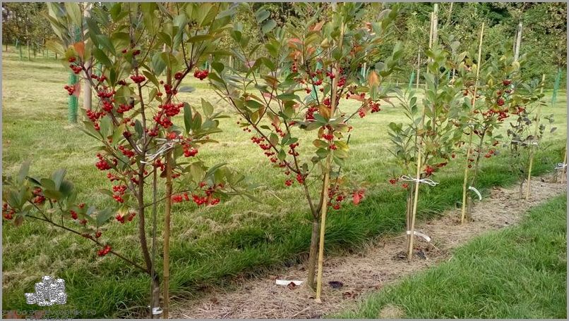 Ciekawe Praca w Mikołowie i Okolicy!