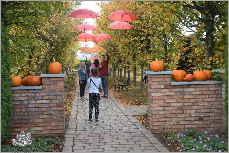 Ciekawe Praca w Mikołowie i Okolicy!