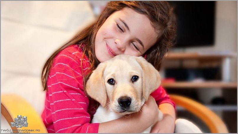 Nowy Kalkulator Budżetu Domowego - Zmień swoje życie!