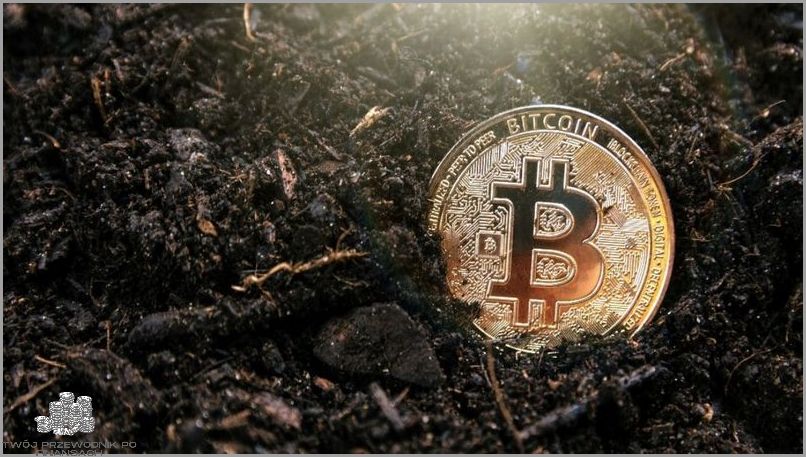 100 Bitcoinów to aż ZŁ !.