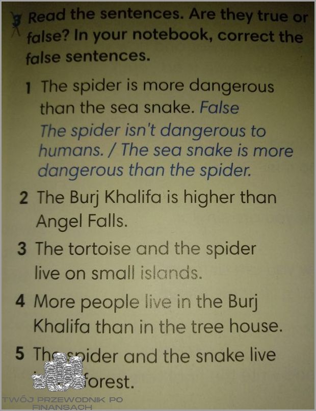 1000 Punktów Payback - Ile To Zł?!