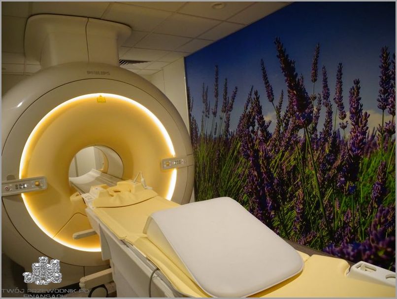 Czas Oczekiwania Na Granicy: Przerażające Fakty!