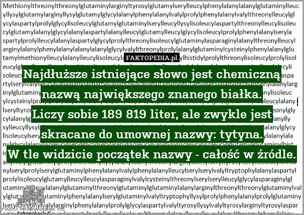 Najdłuższe Słowo Po Angielsku: Odkryj!