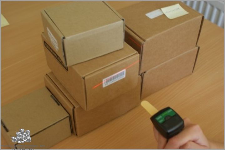 Spis Z Natury - Przeprowadź Inwentaryzację!