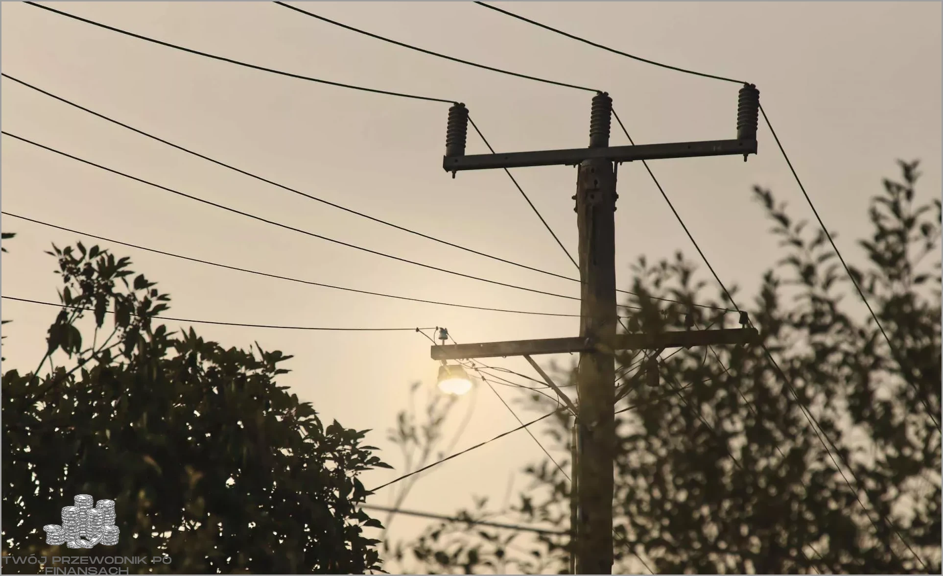 Zakład Energetyczny Przycina Drzewa!