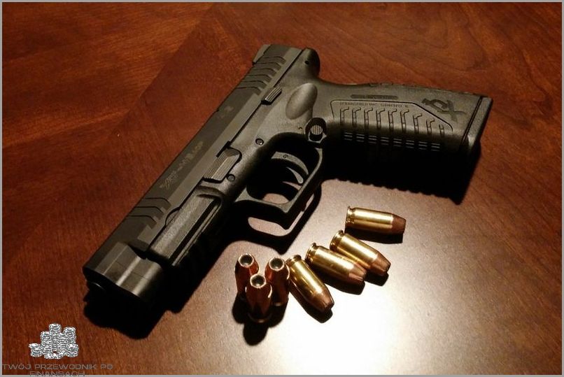 7 Rodzajów Pozwoleń Na Broń!