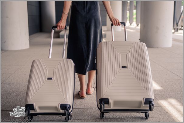 Cena Bagażu Rejestrowanego Wizzairu!