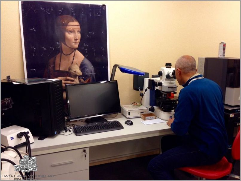 Gdzie Jest Dama Z Gronostajem?