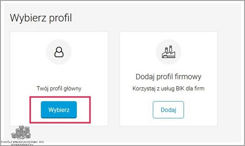 Jak Czytać Raport Bik? Przekonaj się!
