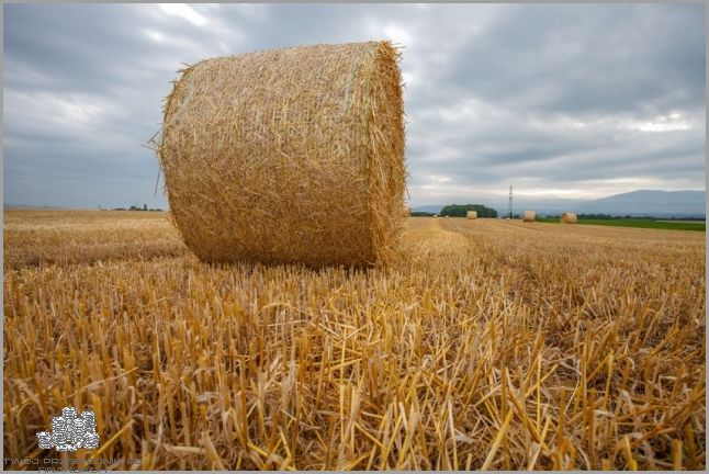 Kierowcy Dostaną Dopłaty Do Paliwa!