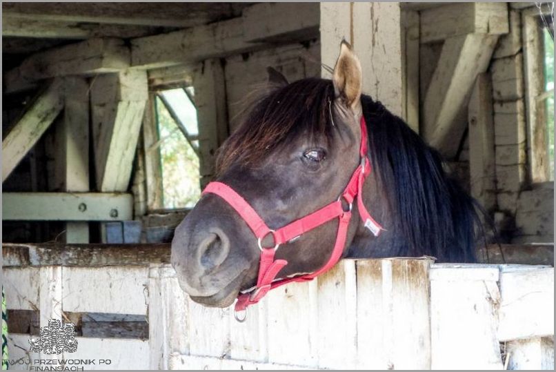 Kto Otrzymuje Zniżkę Na Prąd?.