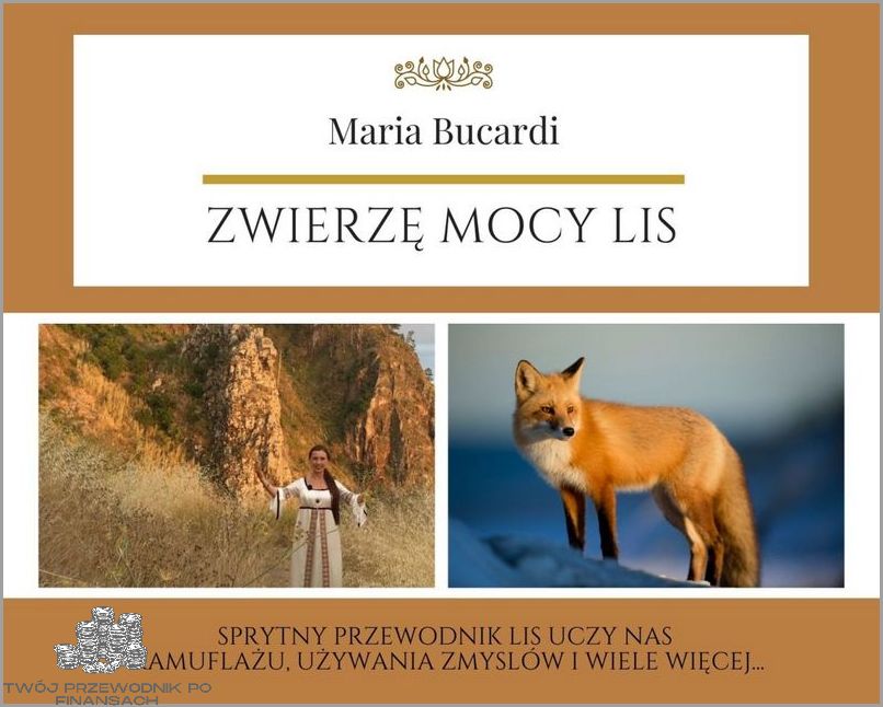 Odkryj Tajemnice Tabeli Mocy Przyłączeniowej Energa!