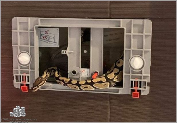 Oszczędź Wodę w Spłuczce!