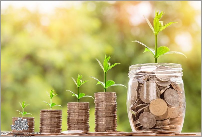 Oszczędzanie w Firmie - Jak Uzyskać Więcej?