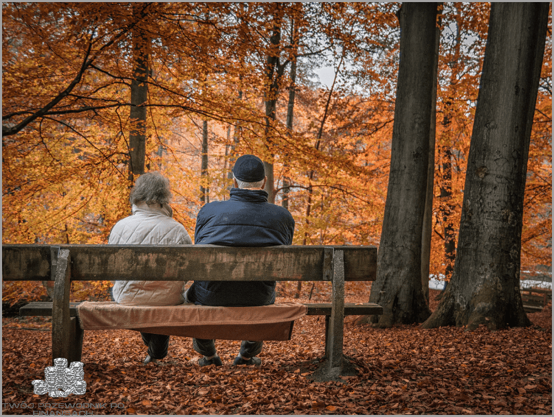 Przekraczasz Wiek Emerytalny W Usa? Sprawdź!