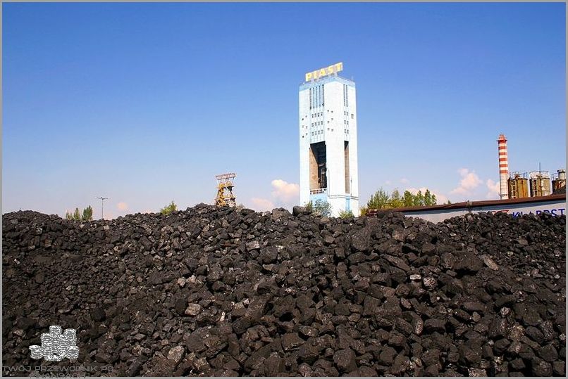 Sklep Pgg - Nie Przegap Dostępności!