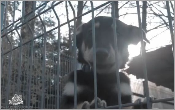 Wałbrzych Dla Was - Nowe Info!