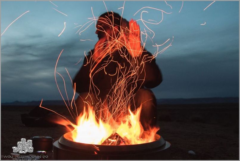 Zakup Węgla Przez Internet - Jak To Zrobić?