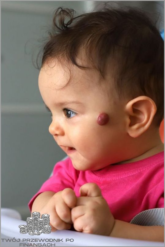 Zaloguj się do Net Credit!