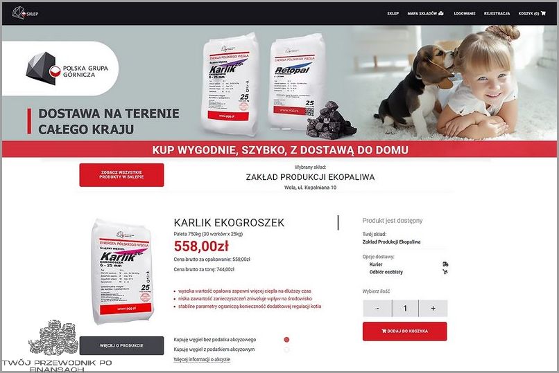 Znaleźliśmy Idealny E-sklep Pgg!