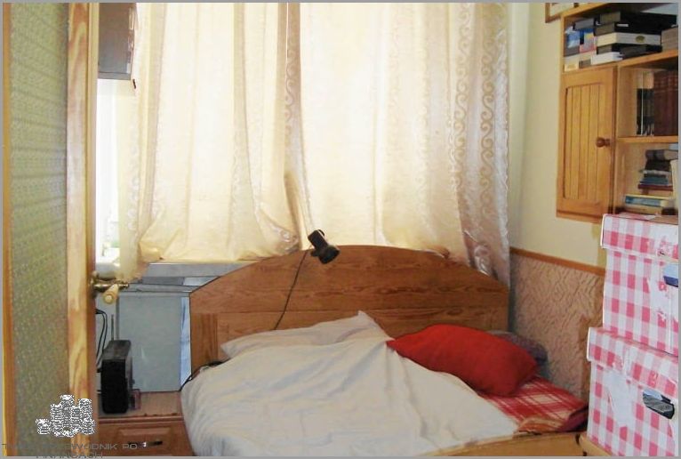 100 Kw to aż tyle Koni? Sprawdź!