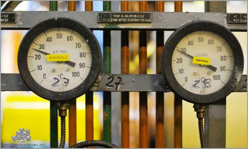 20 zł za sztukę sztuki? Sprawdź to!