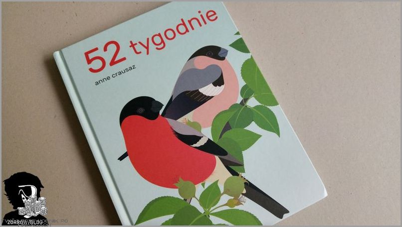 52 Tygodnie? To Aż 12 Miesięcy!