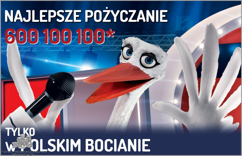 Bocian Pożyczki - co o nich sądzą Klienci?