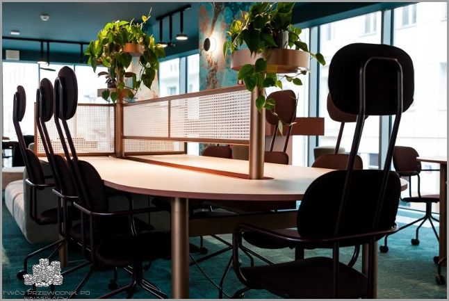 Czy Przysługuje Ci Dzień Wolny na Szczepienie?