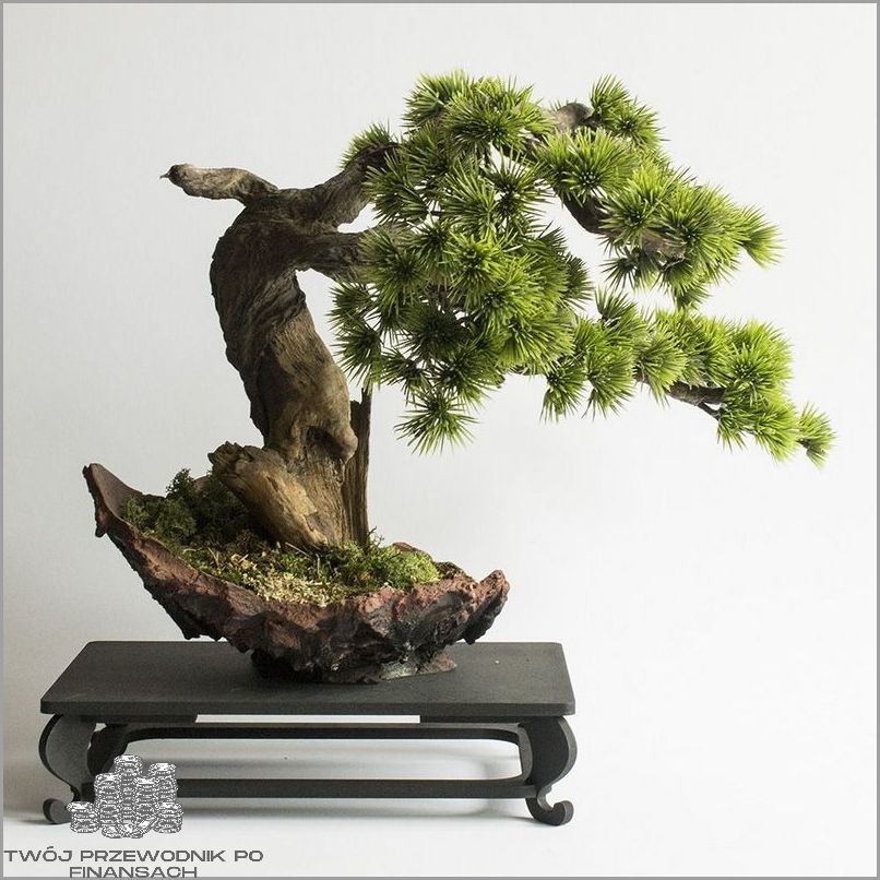 Drzewko Bonsai Żywe - Sprawdź Cenę!