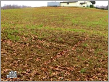 Firma Budowlana Wodzisław Śląski - Niesamowite Efekty!
