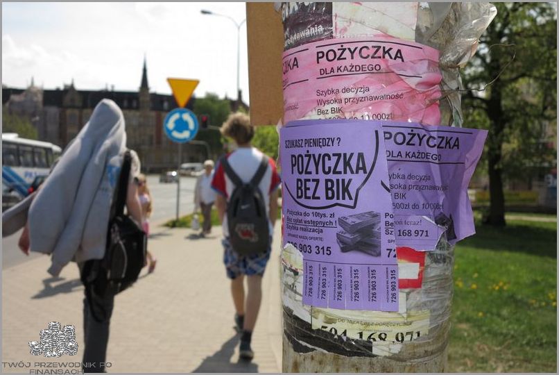 Firmy Pożyczkowe Online: Zdobądź Natychmiastowo!