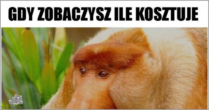 Ile Kosztuje Bilet Do Kina Cinema City? Odkryj!