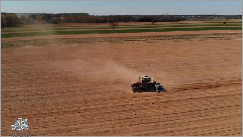 Ile Kosztuje Hektar Ziemi? Czy Cię to Zaskoczy?