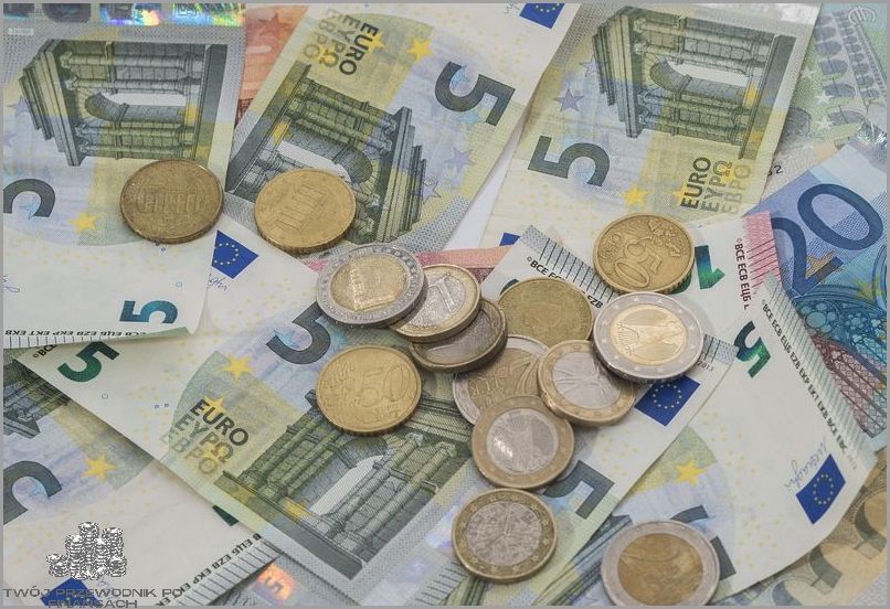 Ile Wynosi Podatek Belki? Odpowiedź Cię Zaskoczy!