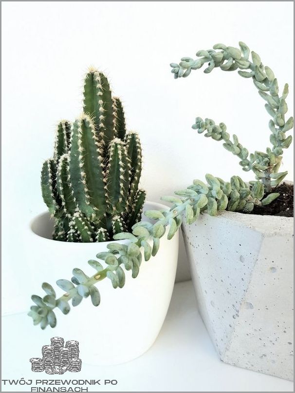 Jak Wygląda Człowiek Odwodniony? Zobacz! Jak Wygląda Człowiek Odwodniony? Zobacz!