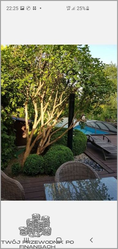 Koszt Założenia Licznika Prądu!