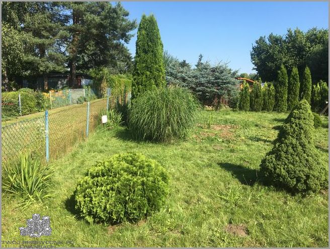 Kup Teraz Ogródki Działkowe Na Sprzedaż!