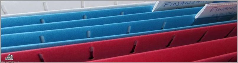 Mały ZUS Plus: Ile To Kosztuje?