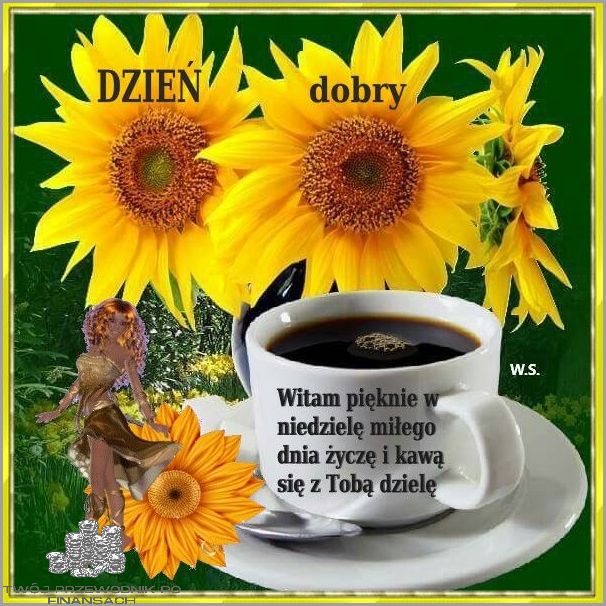 Najlepsze Cytaty Na Dzień Dobry!