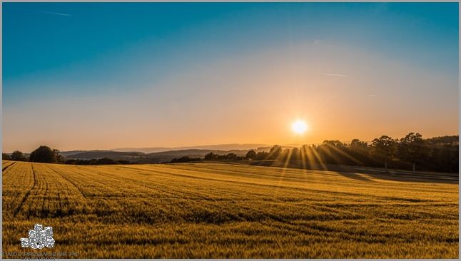 Najlepsze Cytaty Na Dzień Dobry!