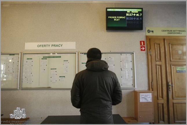 Najnowsze Oferty Pracy W Legnicy!