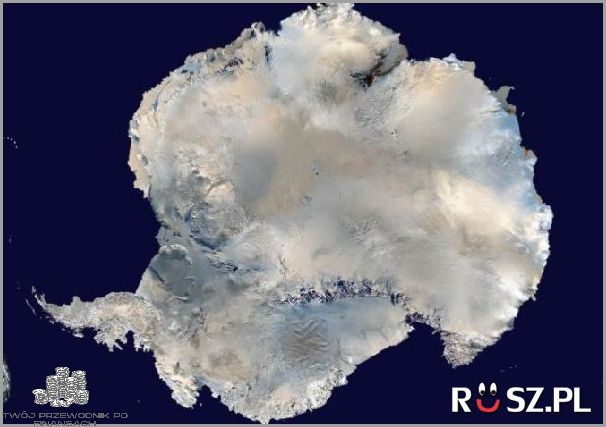 Odkryj Jaki Jest Numer Na Policję!