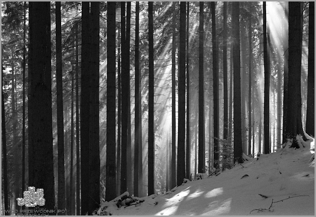 Odkryj, skąd pochodzi Kod Kreskowy 8!