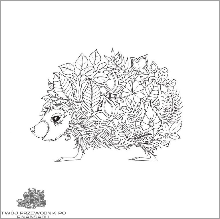 Odkryj Tajemnicę Helikoptera Z Dwoma Śmigłami!