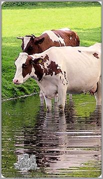 Opinie o Bnp Paribas - Co sądzą inni?