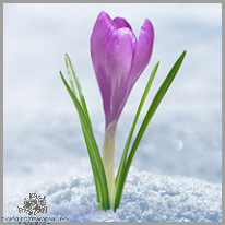 Oszczędzanie z Kontem Jakie Chcę!