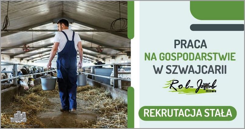 Praca W Szwajcarii Od Zaraz: Szansa Nie Do Przegapienia!