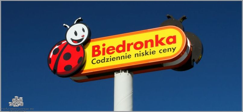 Biedronka: Zakupy Z Dostawą Do Domu! Biedronka: Zakupy Z Dostawą Do Domu!