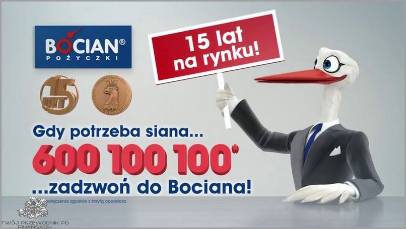Bocian Pożyczki - Skontaktuj się teraz!